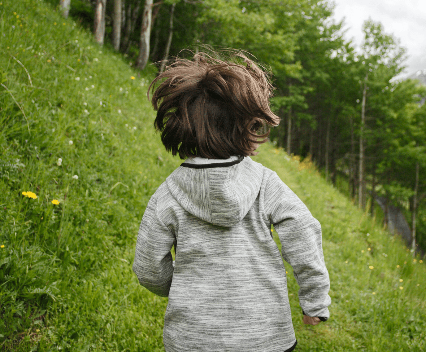 Plan for future generations